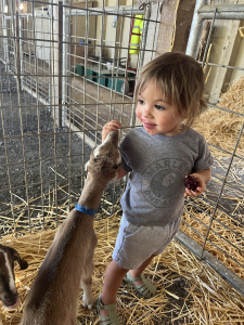 Kaikoa with kid goat and eating a plum
