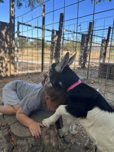 Kaikoa with kid goat on tree trunk