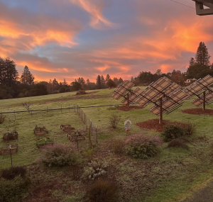 Sunset view of Redwood Hill Farm