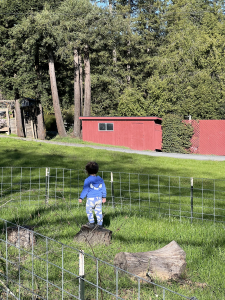 Children walking along a farm path