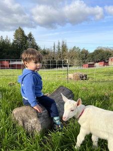 kid on a log with a baby goat