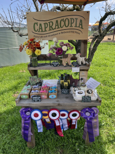 Capracopia farm stand with award ribbons