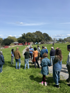 Guided farm tour with visitors