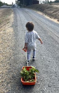 Child pulling a wagon on a farm road