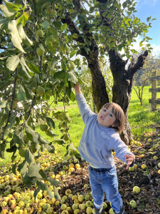 baby-tree